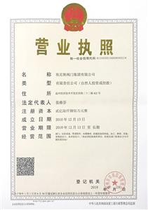 營(yíng)業(yè)執(zhí)照-正本（埃尼斯閥門(mén)集團(tuán)有限公司）