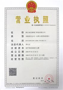 營(yíng)業(yè)執(zhí)照-正本（浙江埃尼斯閥門(mén)科技有限公司）